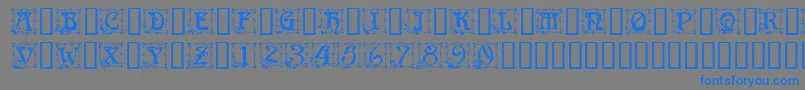 CapitularFloral Font – Blue Fonts on Gray Background