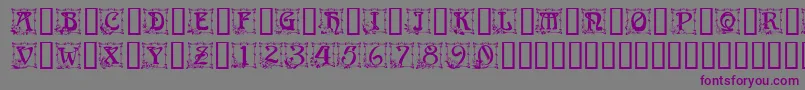 CapitularFloral Font – Purple Fonts on Gray Background