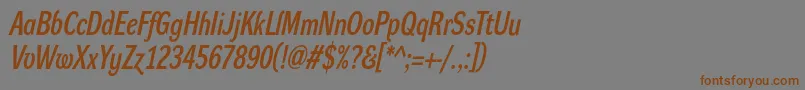 フォントDynagroteskdcItalic – 茶色の文字が灰色の背景にあります。