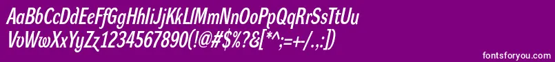 フォントDynagroteskdcItalic – 紫の背景に白い文字