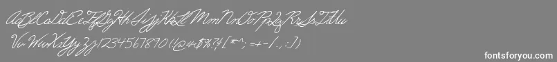 Erics Font – White Fonts on Gray Background