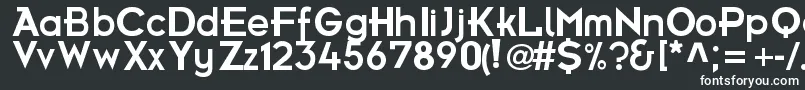 FrBold Font – White Fonts on Black Background