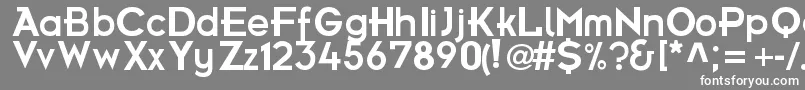 FrBold Font – White Fonts on Gray Background