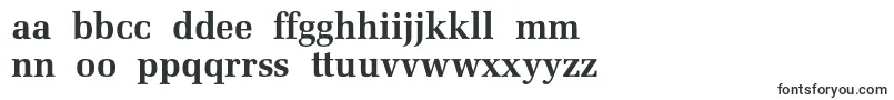 Zapfelliptical711cbtBold Font – Polish Fonts