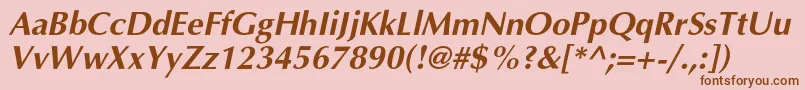 AgopuscBolditalic Font – Brown Fonts on Pink Background