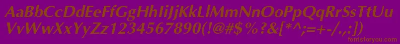 AgopuscBolditalic Font – Brown Fonts on Purple Background