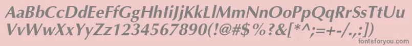 AgopuscBolditalic Font – Gray Fonts on Pink Background