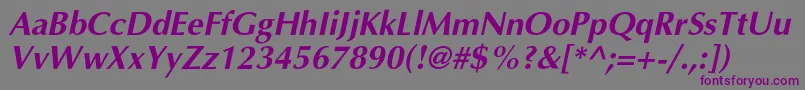 Шрифт AgopuscBolditalic – фиолетовые шрифты на сером фоне