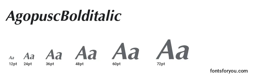 Размеры шрифта AgopuscBolditalic