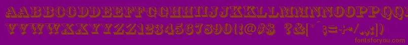 DsDiamondInlay Font – Brown Fonts on Purple Background