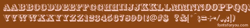 DsDiamondInlay Font – Pink Fonts on Brown Background