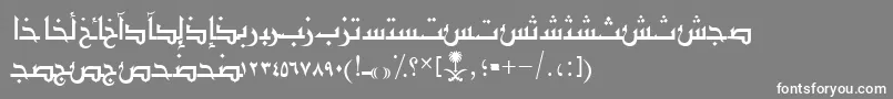 fuente AymShurooq03 – Fuentes Blancas Sobre Fondo Gris