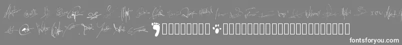 Pwsignatures-Schriftart – Weiße Schriften auf grauem Hintergrund