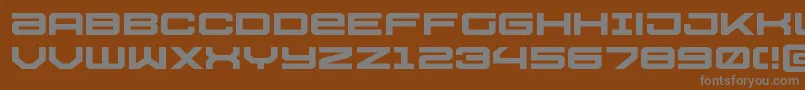 Ussdallasxpand Font – Gray Fonts on Brown Background