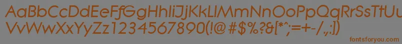 LiteraserialBolditalic Font – Brown Fonts on Gray Background