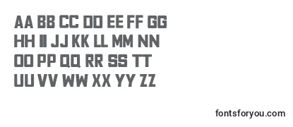 Review of the FyodorBold Font