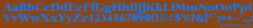 BernsteinserialHeavyRegular Font – Blue Fonts on Brown Background