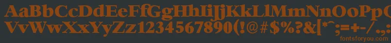 BernsteinserialHeavyRegular Font – Brown Fonts on Black Background