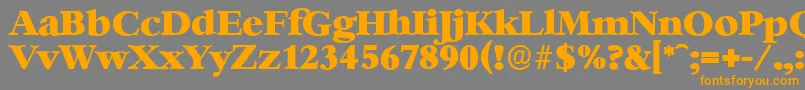 BernsteinserialHeavyRegular Font – Orange Fonts on Gray Background