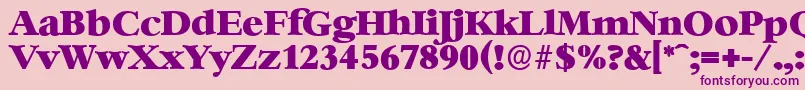 BernsteinserialHeavyRegular Font – Purple Fonts on Pink Background