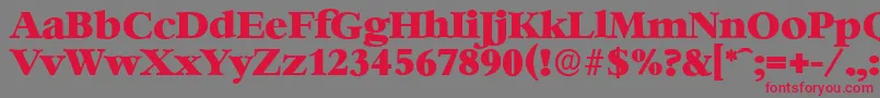 BernsteinserialHeavyRegular Font – Red Fonts on Gray Background