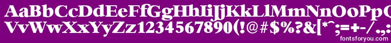 フォントBernsteinserialHeavyRegular – 紫の背景に白い文字