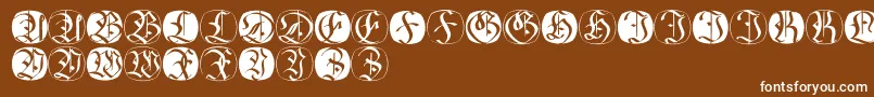 Fraxbricks Font – White Fonts on Brown Background