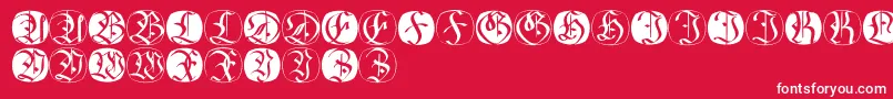 Fraxbricks Font – White Fonts on Red Background