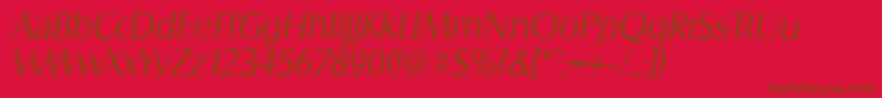 SalzburgserialLightItalic Font – Brown Fonts on Red Background