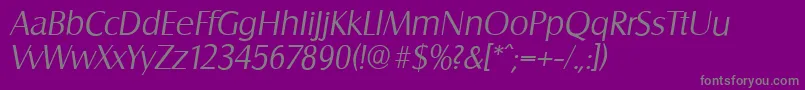 SalzburgserialLightItalic Font – Gray Fonts on Purple Background