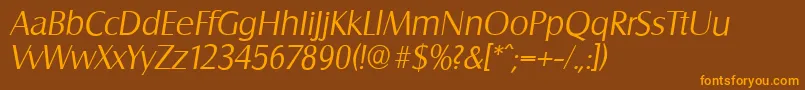 SalzburgserialLightItalic Font – Orange Fonts on Brown Background