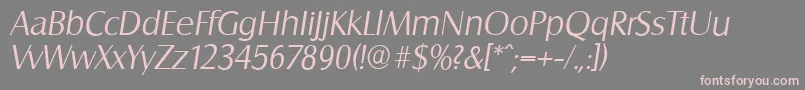 SalzburgserialLightItalic Font – Pink Fonts on Gray Background