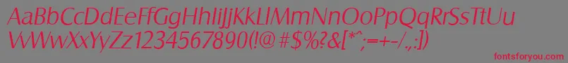 SalzburgserialLightItalic Font – Red Fonts on Gray Background