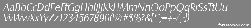 SalzburgserialLightItalic-Schriftart – Weiße Schriften auf grauem Hintergrund
