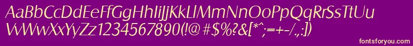 SalzburgserialLightItalic-Schriftart – Gelbe Schriften auf violettem Hintergrund