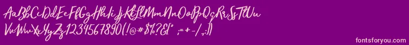 TrendsetterRegular Font – Pink Fonts on Purple Background