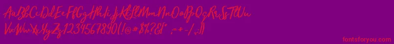 TrendsetterRegular Font – Red Fonts on Purple Background