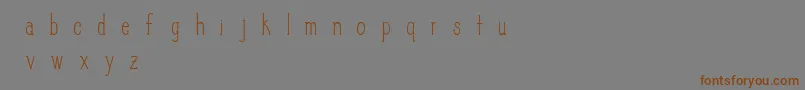 SlimPickins Font – Brown Fonts on Gray Background