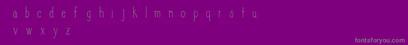 SlimPickins Font – Gray Fonts on Purple Background