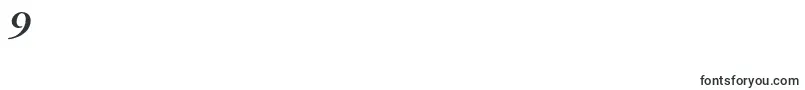 GaramondbookcItalic-Schriftart – Schriften für die Ziffer 9