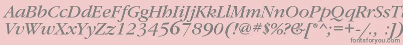 GaramondbookcItalic Font – Gray Fonts on Pink Background