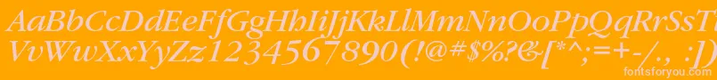 GaramondbookcItalic Font – Pink Fonts on Orange Background