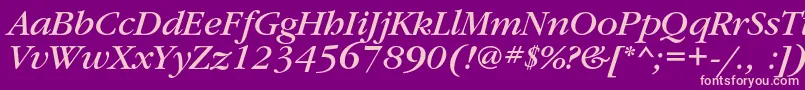GaramondbookcItalic Font – Pink Fonts on Purple Background
