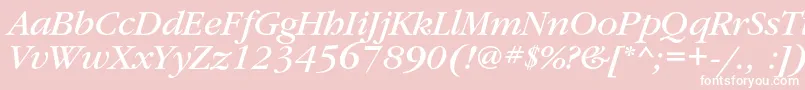 GaramondbookcItalic Font – White Fonts on Pink Background