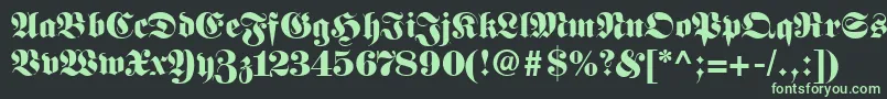 FirallyRegular Font – Green Fonts on Black Background