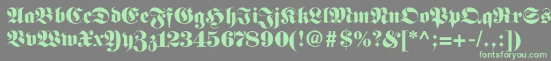 More about FirallyRegular Font FirallyRegular Font – Green Fonts on Gray Background