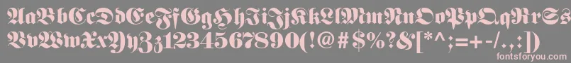 FirallyRegular Font – Pink Fonts on Gray Background