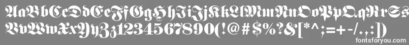 FirallyRegular Font – White Fonts on Gray Background