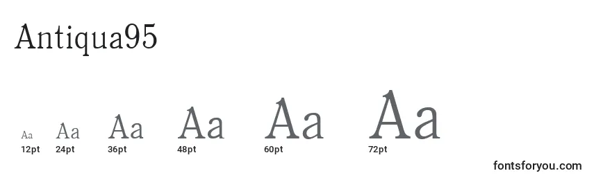 Antiqua95 Font Sizes