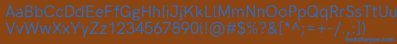 HkgroteskRegularlegacy Font – Blue Fonts on Brown Background